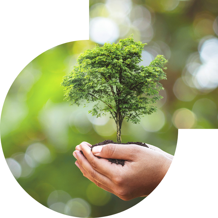 关怀人类、文化、环境与社会